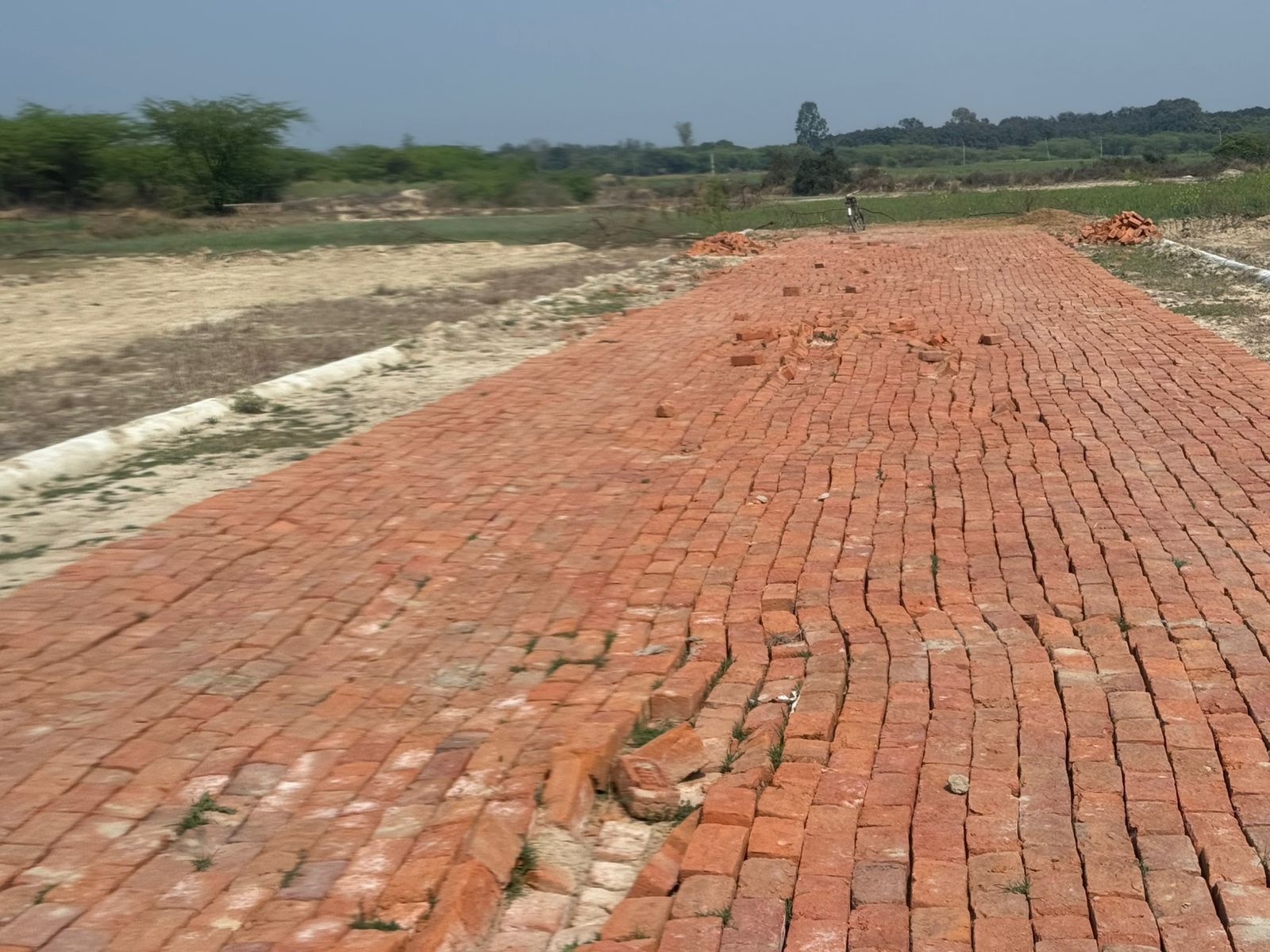 Site Image 1